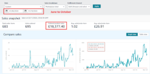 Amazon Seller Central sales snapshot, June to October 2024: 683 order items and GBP 18,377.40 in sales 